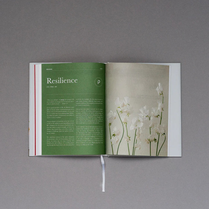 Alabaster Prayer Journal