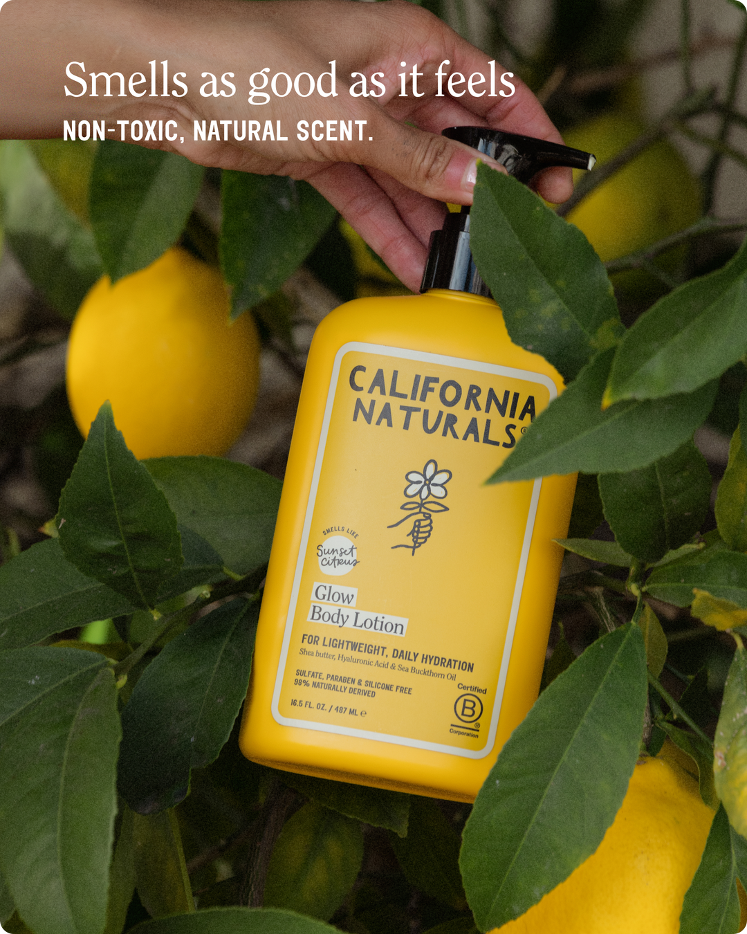Glow Body Lotion