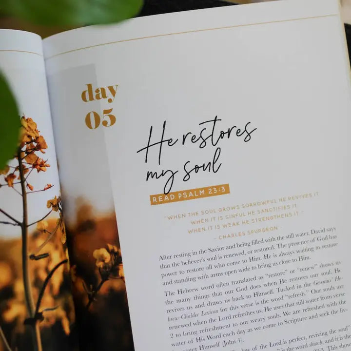 The Daily Grace Co | Books of the Bible