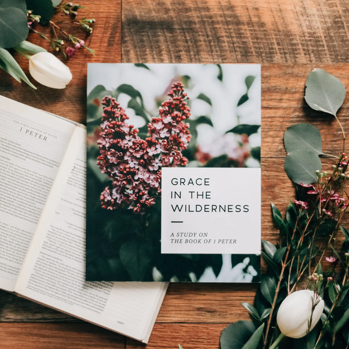 The Daily Grace Co | Books of the Bible