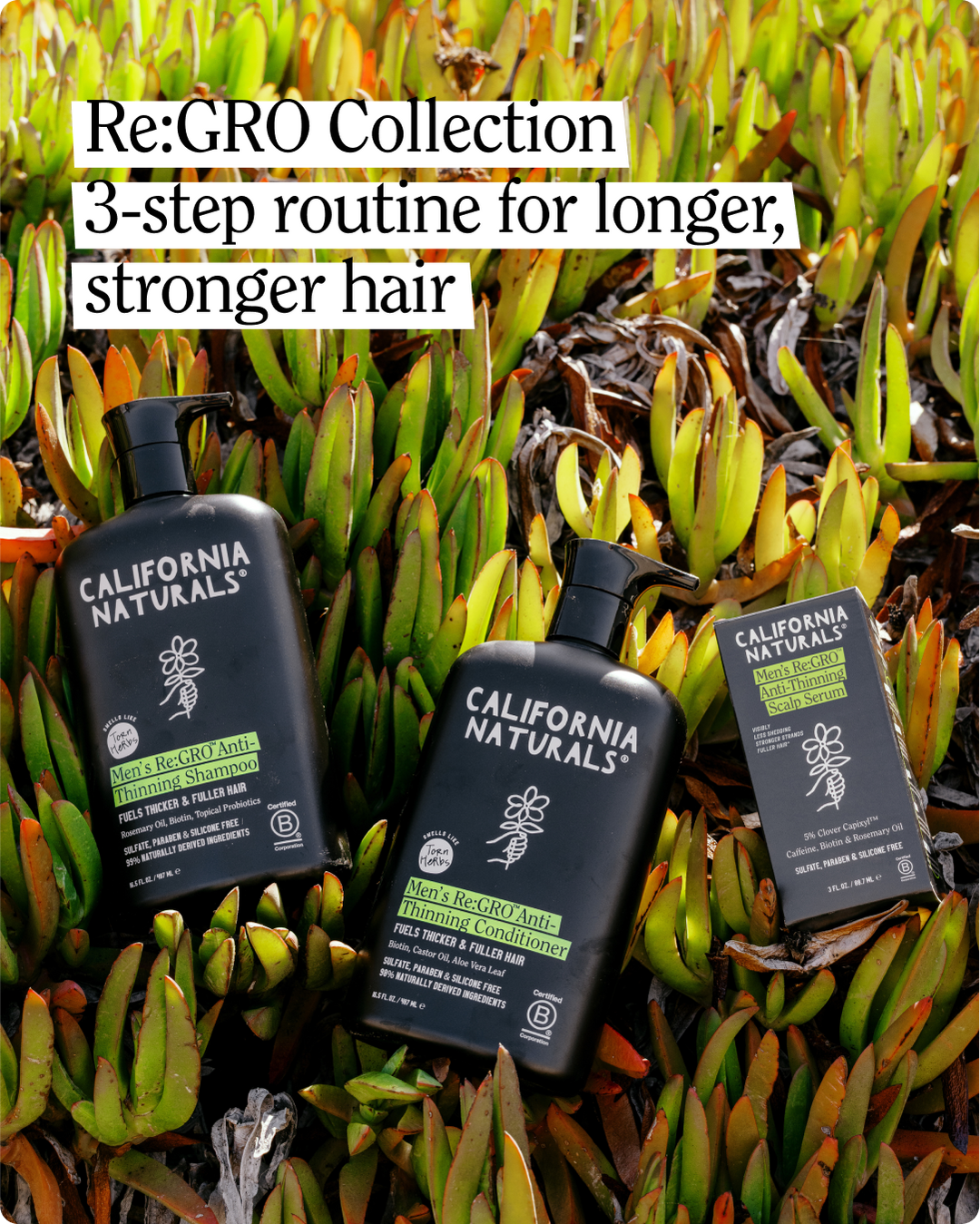 Mens Re:Gro Anti-Thinning Scalp Serum