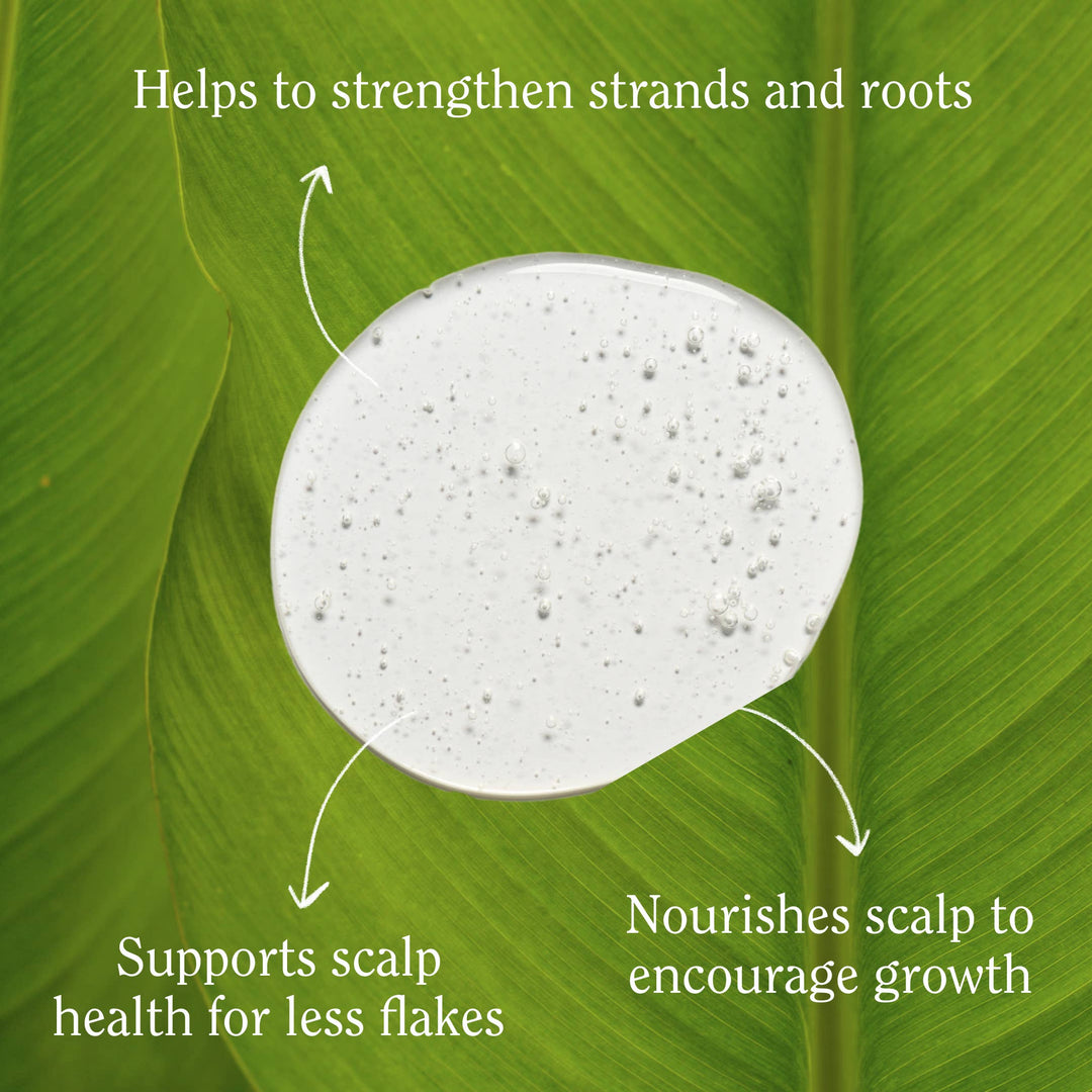 Re:Gro Anti-Thinning Shampoo