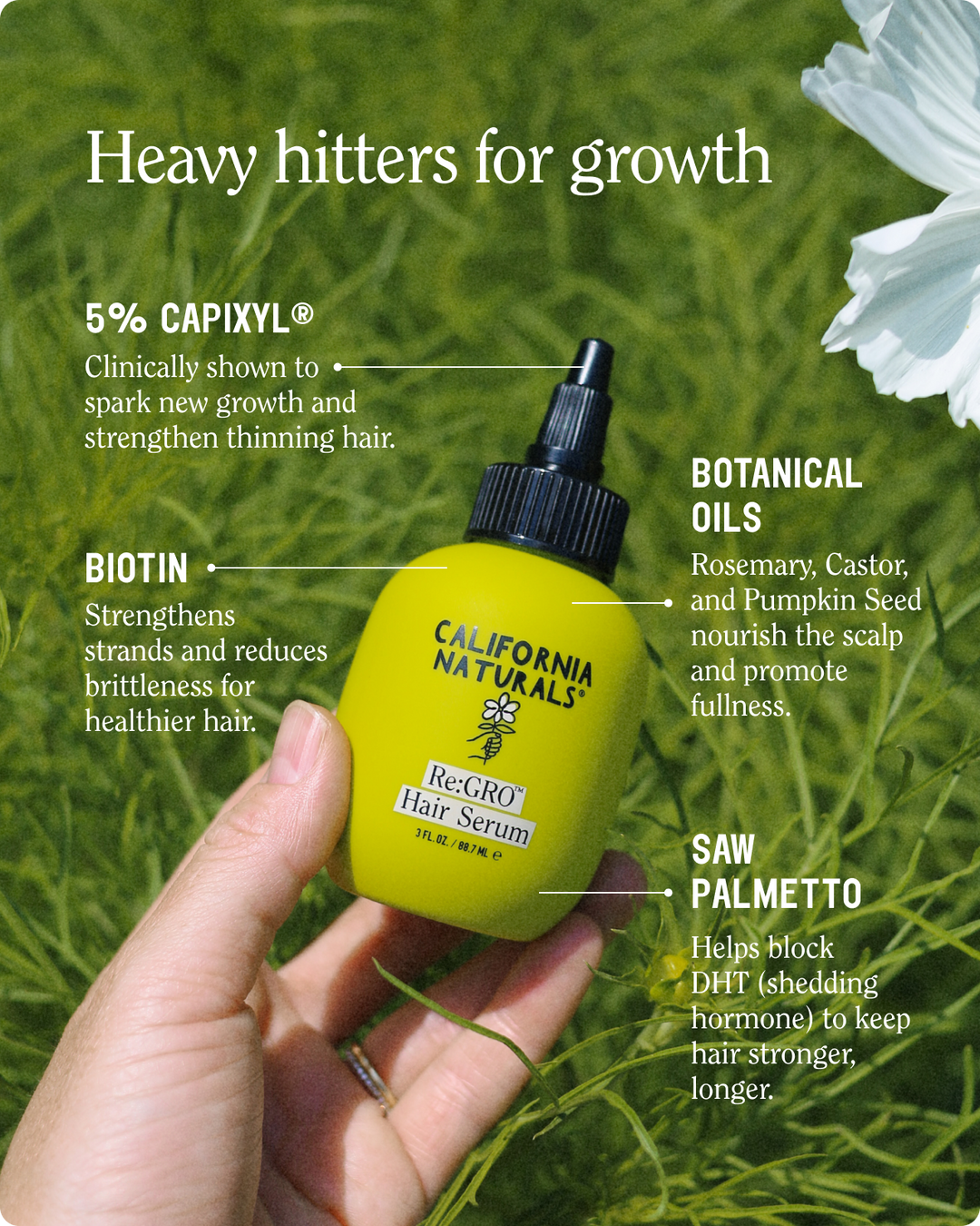 Re:GRO Anti- Thinning Scalp Serum