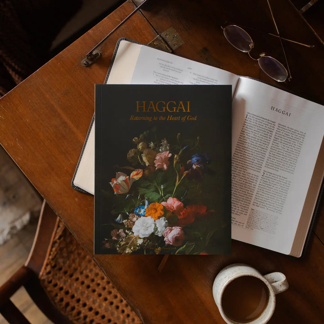 The Daily Grace Co Books of the Bible Studies